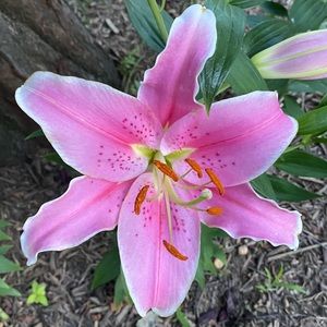 Meet your Posher, Sofia